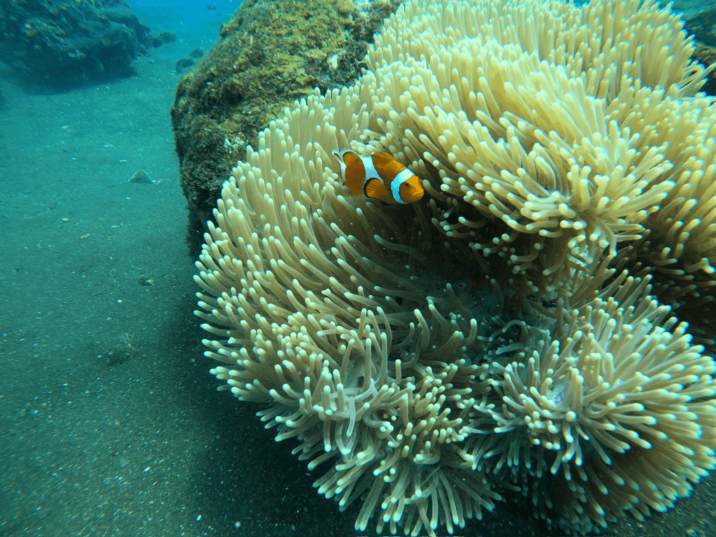 Marine Research Institutions